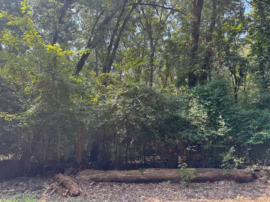 0 E Pease, Haughton, LA 71037 - Image #3