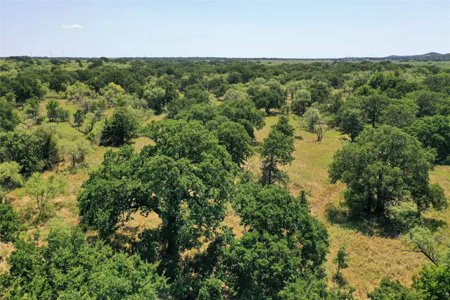 131.7 Acres Roney Road, Jacksboro, TX 76458 - Image #2
