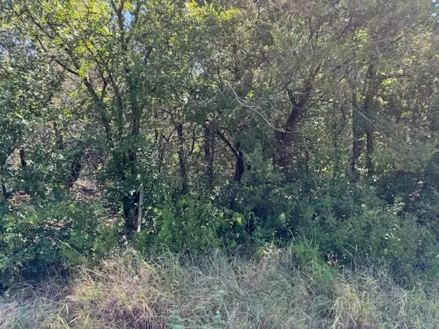 5103 Stoneridge Drive, Granbury, TX 76048 - Image #2