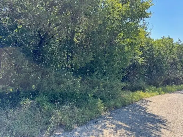 5103 Stoneridge Drive, Granbury, TX 76048 - Image #3