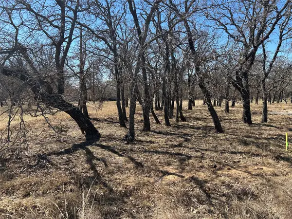 105 Oak Bluff Lane, May, TX 76857