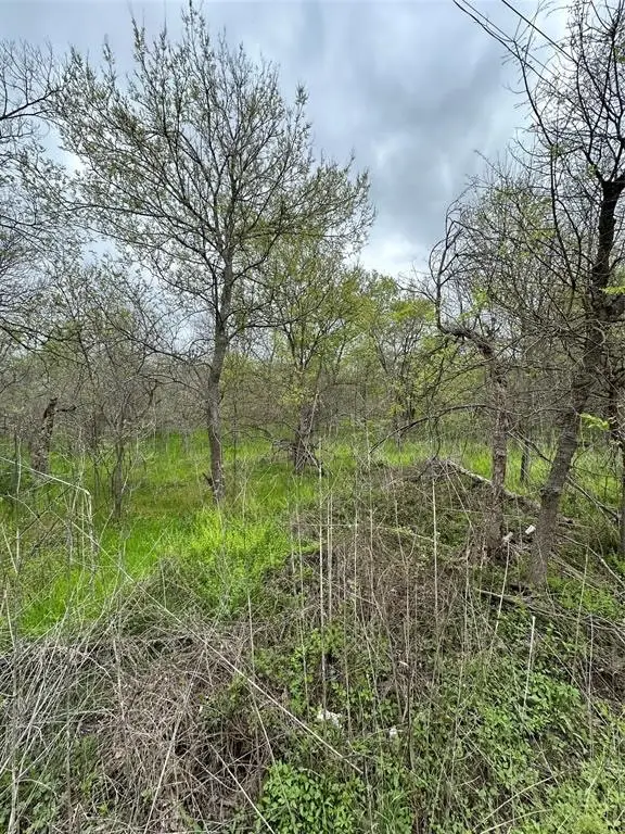 00 S Gresham Street, Marlin, TX 76661 - Image #2