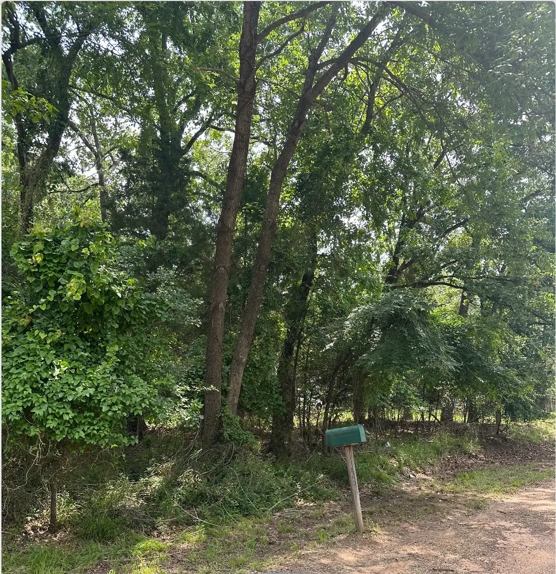 0 Hickory Street, Mabank, TX 75156 - Image #1