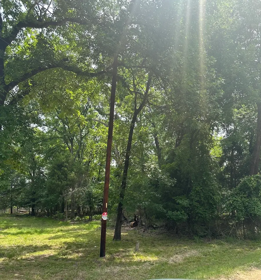 0 Hickory Street, Mabank, TX 75156 - Image #2