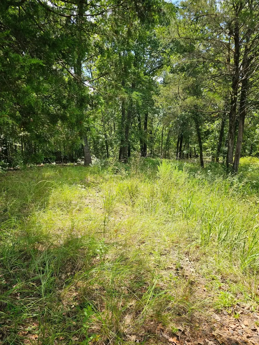 LT 377 Timber Ridge, Larue, TX 75770 - Image #2