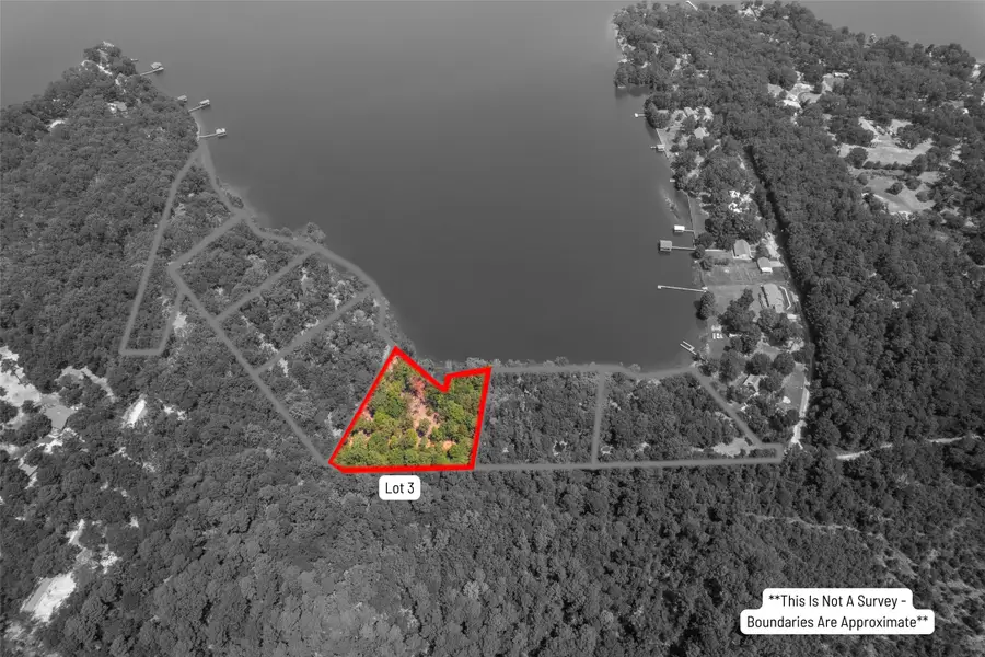 TBD Pr52447, Leesburg, TX 75451 - Image #3