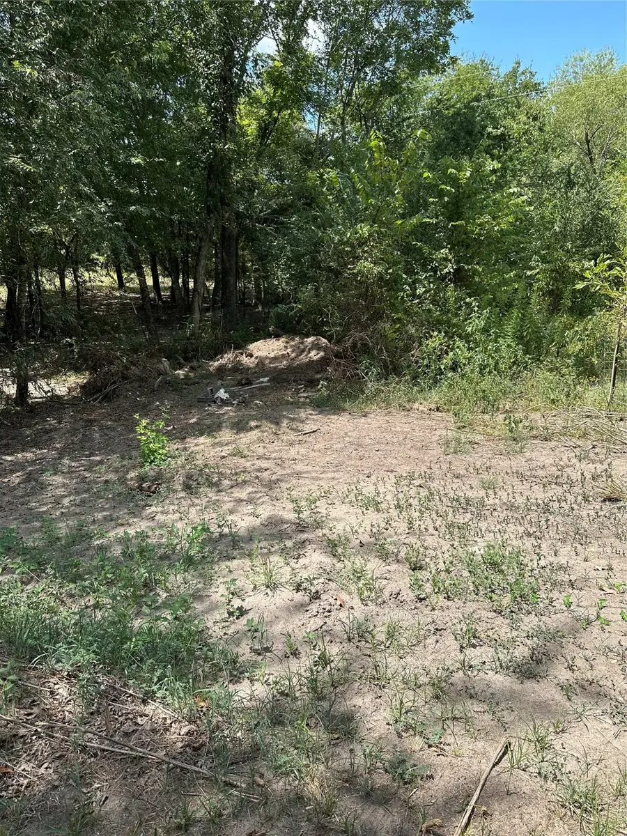 Tbd Vz County Road 1806, Grand Saline, TX 75140 - Image #2