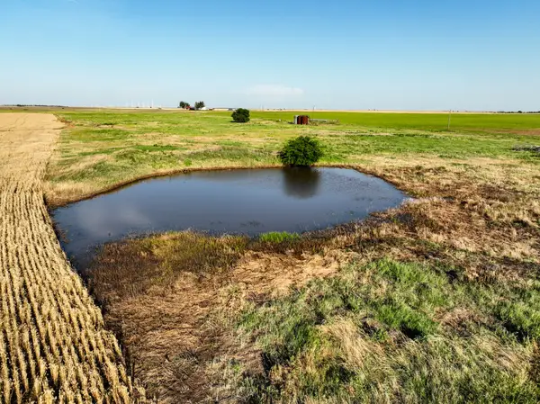 1250 County Road 4430, Knox City, TX 79529