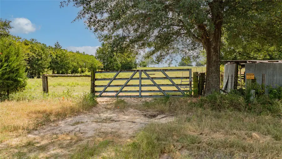 TBD Fm 726, Diana, TX 75640 - Image #2