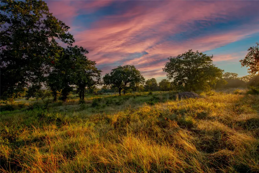 TBD Union Hill Road, Mineral Wells, TX 76067 - Image #2