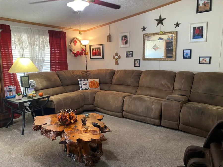 435 Gene Lee Road, Mineral Wells, TX 76067 - Image #3