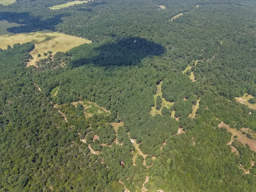 541 Fcr 240, Fairfield, TX 75840 - Image #3