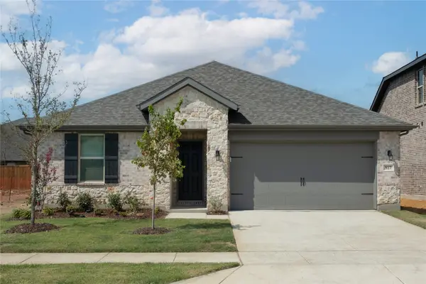 817 Birdie Drive, Little Elm, TX 75068