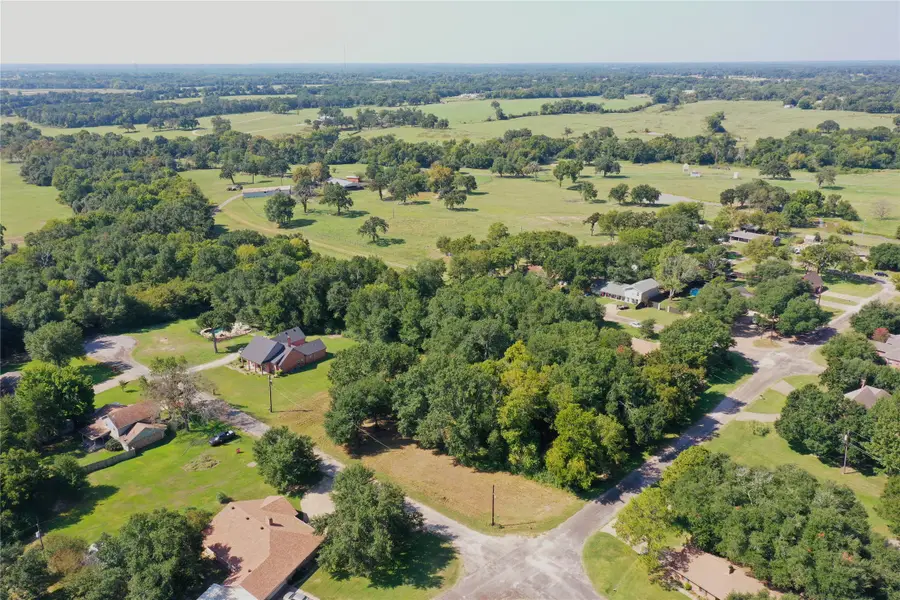 Lot 119 & Lot 120 Robindale Lane, Fairfield, TX 75840 - Image #2