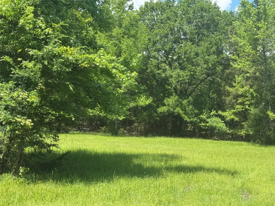 Lot 70 Cypress Circle, Mount Vernon, TX 75457 - Image #2