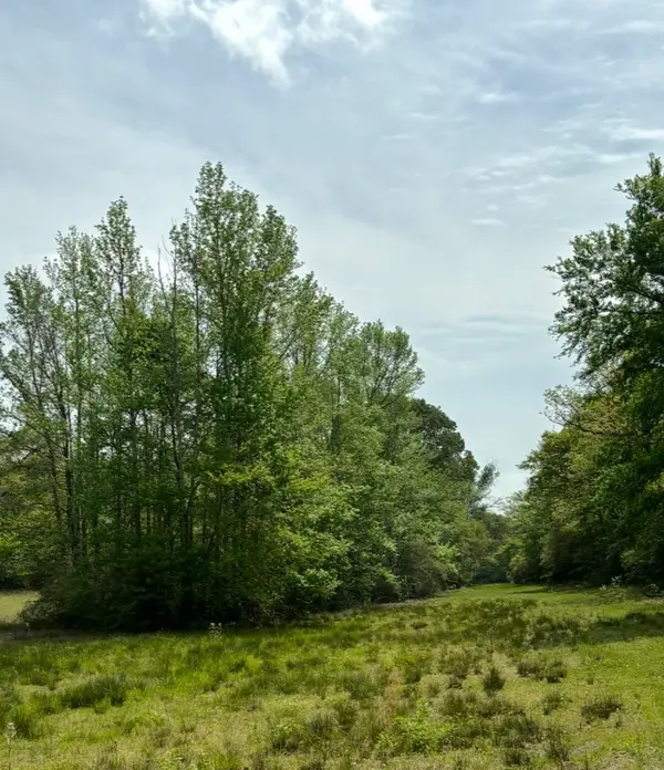 TBD 013 County Road 242, Oakwood, TX 75855