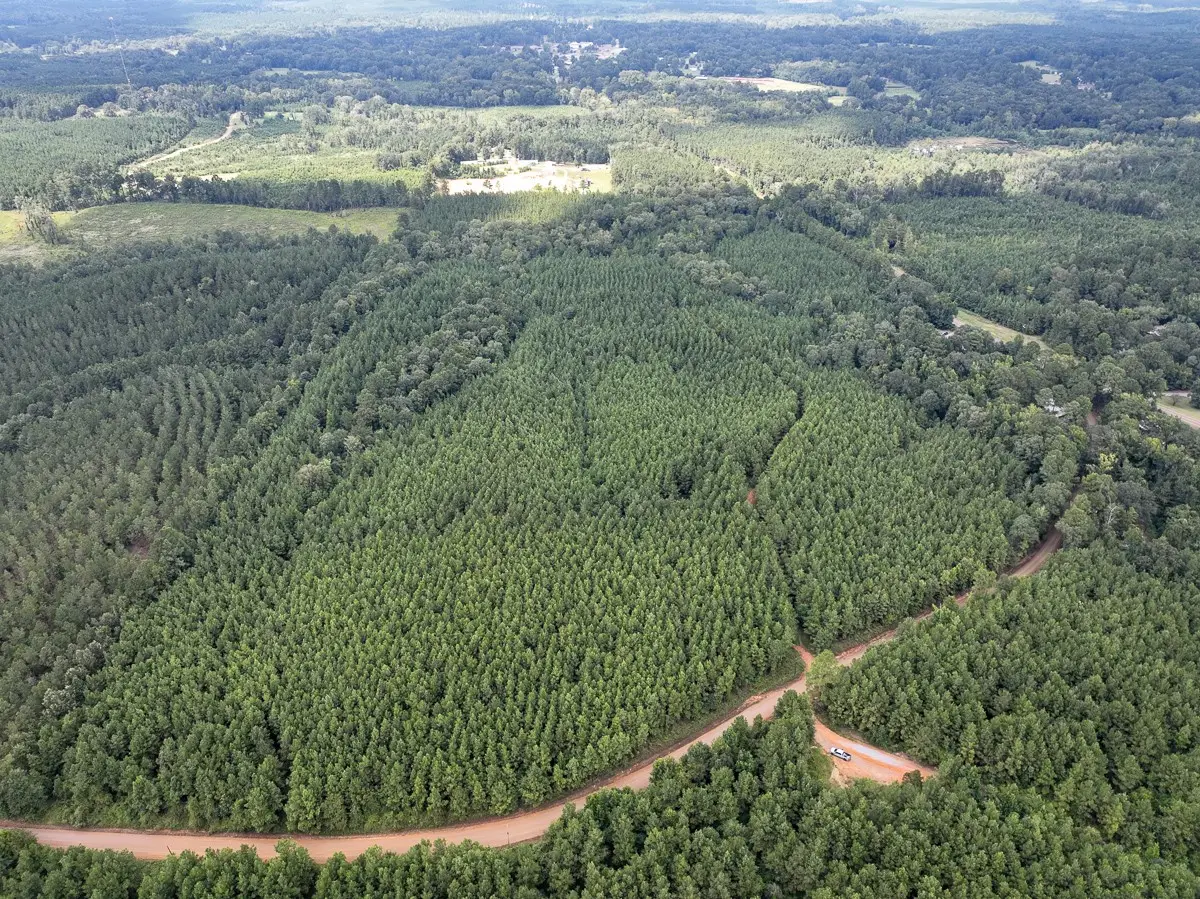 T-1 Provencal Vowell Mills Rd, Provencal, LA 71468 - Image #1