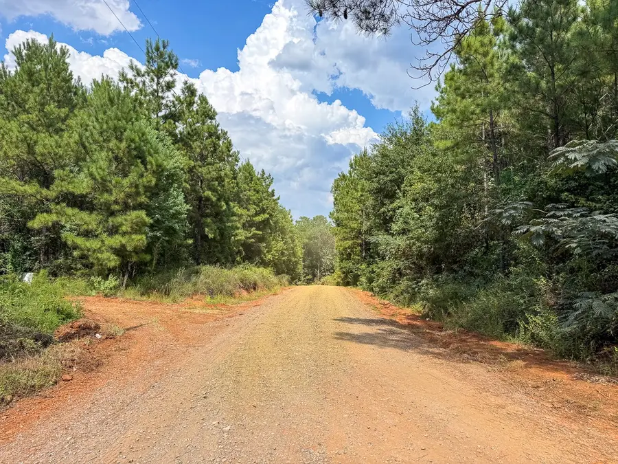 T-1 Provencal Vowell Mills Rd, Provencal, LA 71468 - Image #3