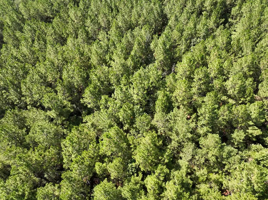 2 State Road 3205, Oberlin, LA 71463 - Image #2