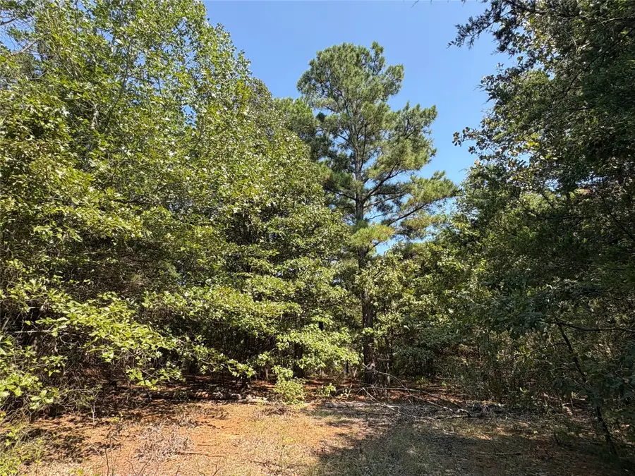 TBD Fm 69 #Tract 2, Como, TX 75431 - Image #2