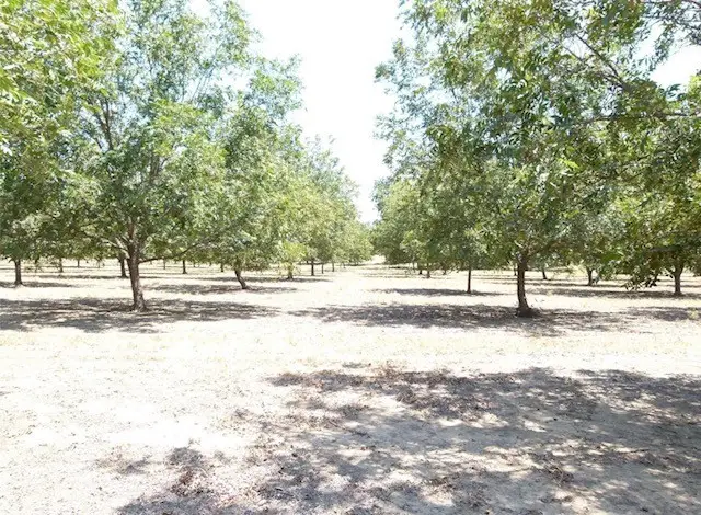 TBD County Road 216, San Saba, TX 76877 - Image #3