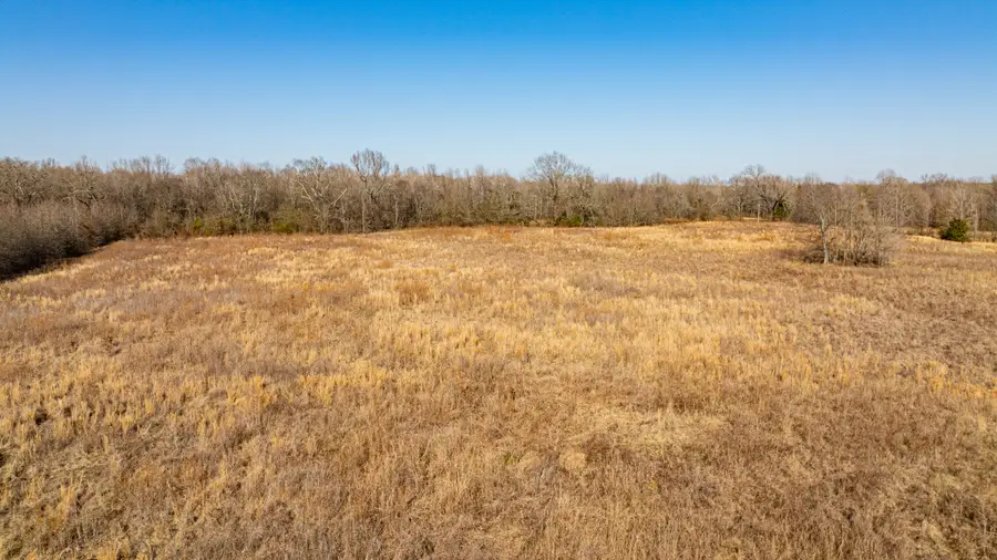 TBD Cr 4650, Annona Avery, TX 75559 - Image #2