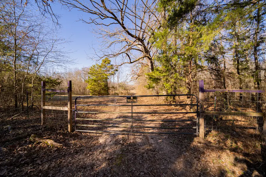 TBD Cr 4650, Annona Avery, TX 75559 - Image #3