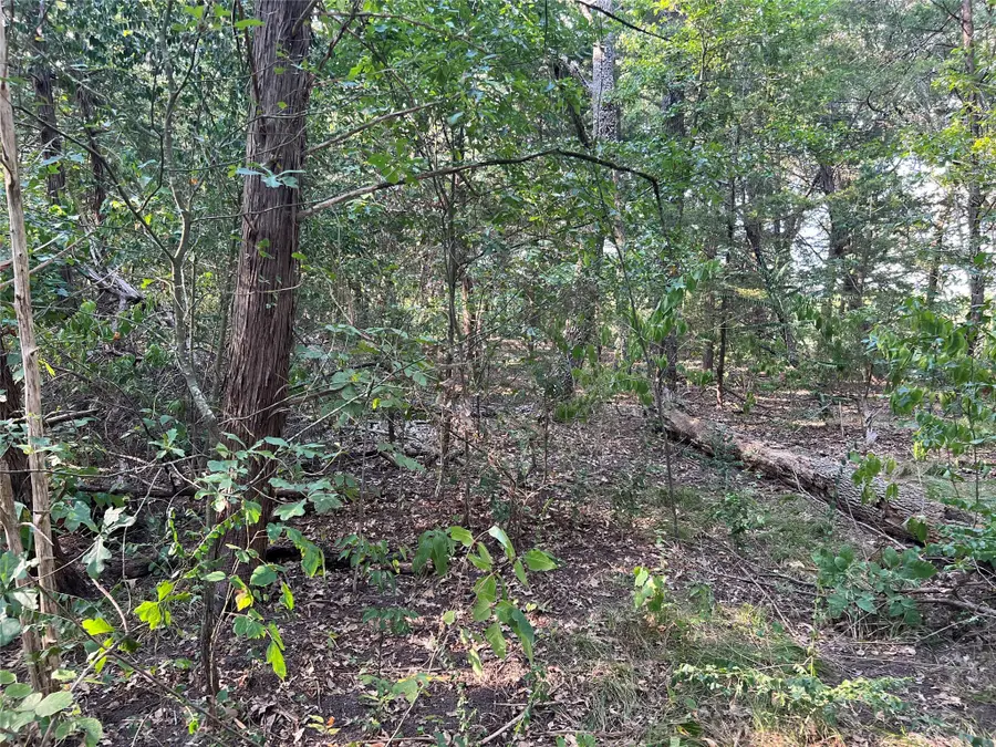 16333 Co Rd 339, Terrell, TX 75161 - Image #2