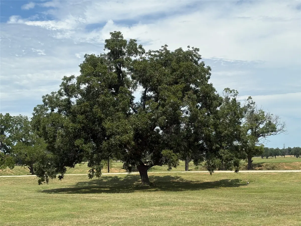 1078 River Ranch Lane, Weatherford, TX 76087 - Image #1