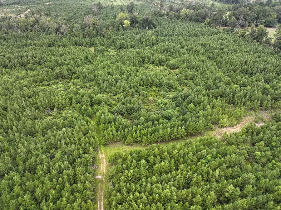 0 Warren Church Rd, Florien, LA 71429 - Image #3