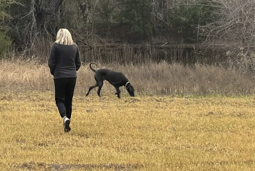 TBD E Hcr 2224, Aquilla, TX 76622 - Image #1