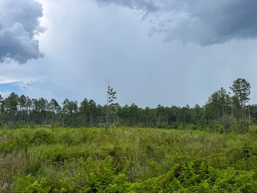 T-1 Highway 127, Jena, LA 71371 - Image #3