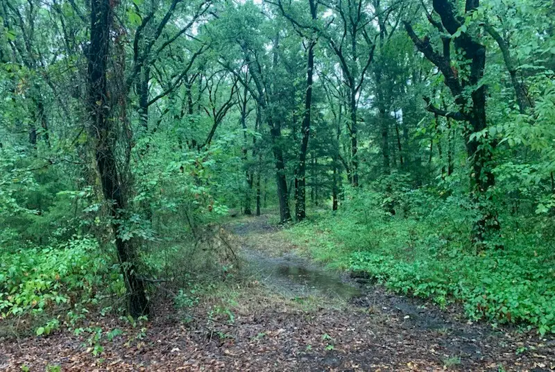 9744 Shady Lane, Quinlan, TX 75474 - Image #3