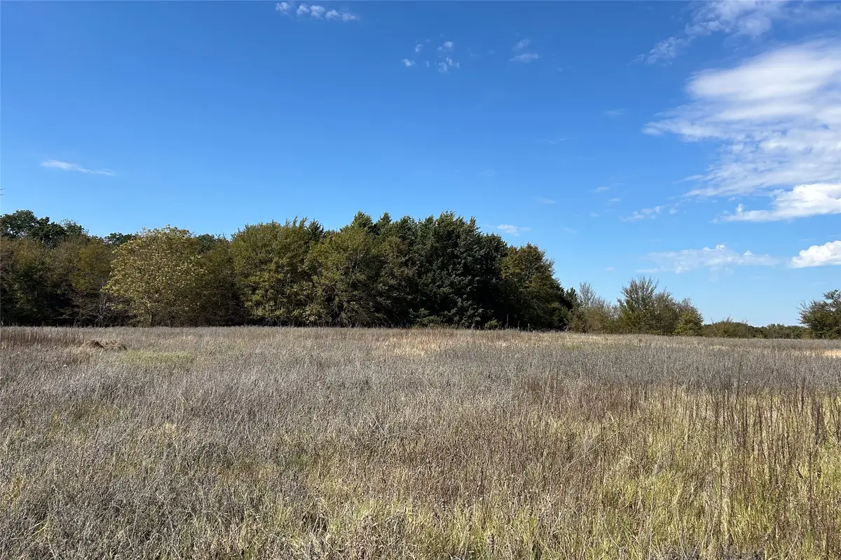 TBD8 County Road 141, Callisburg, TX 76240 - Image #1
