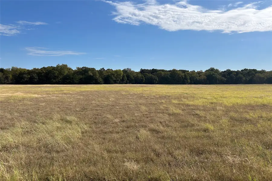 TBD8 County Road 141, Callisburg, TX 76240 - Image #2