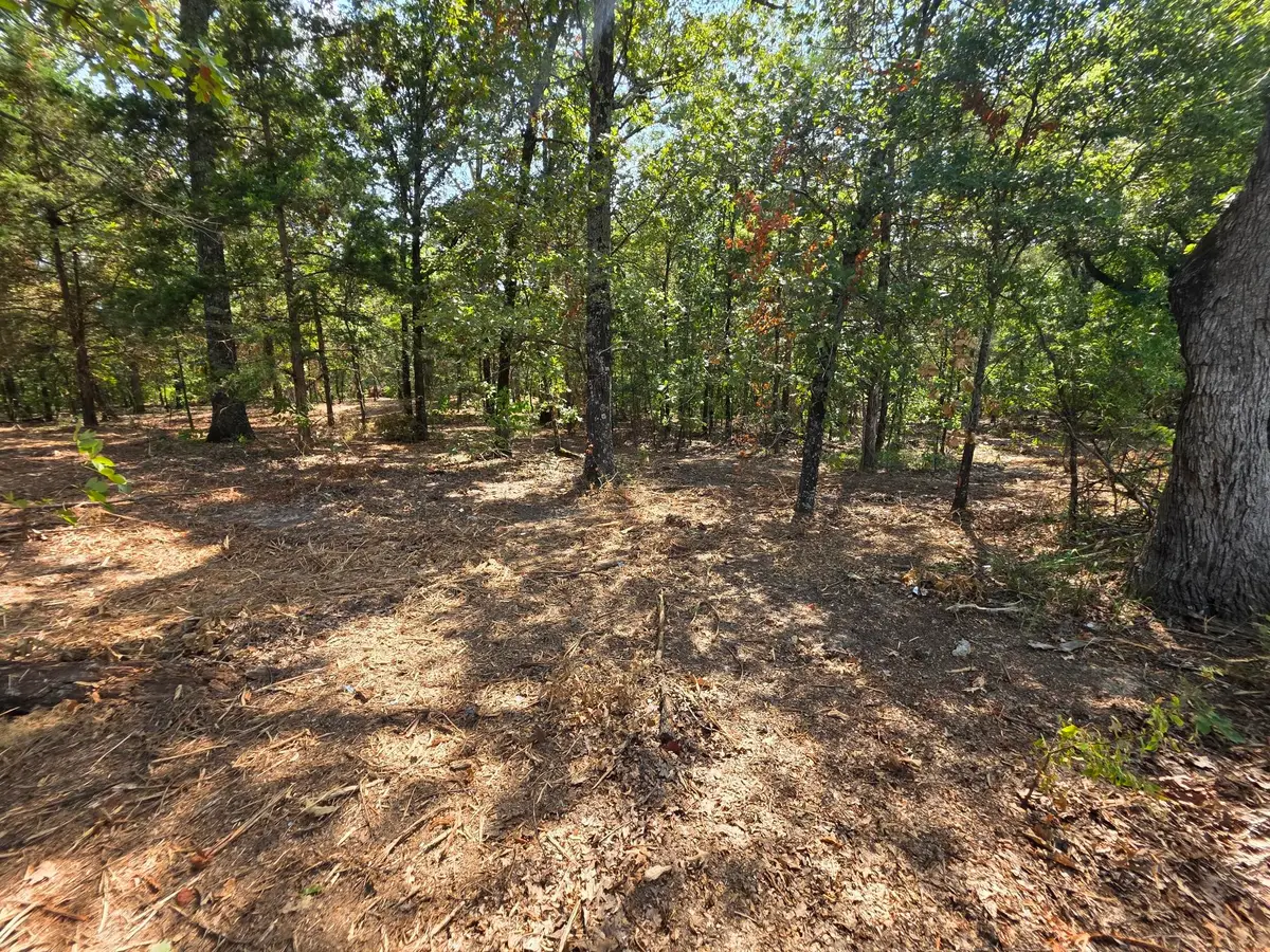 Lot 2 Cr 2710, Mount Pleasant, TX 75455 - #1