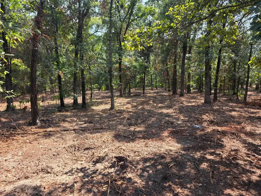 Lot 2 Cr 2710, Mount Pleasant, TX 75455 - #2