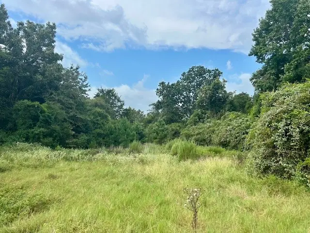 TBD Tx 7, Centerville, TX 75833 - Image #3