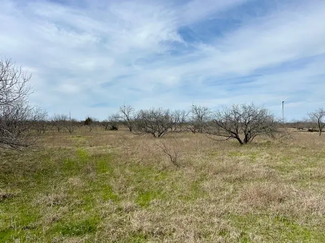 TBD SW Cr 4260 Lot 2, Dawson, TX 76639 - Image #3
