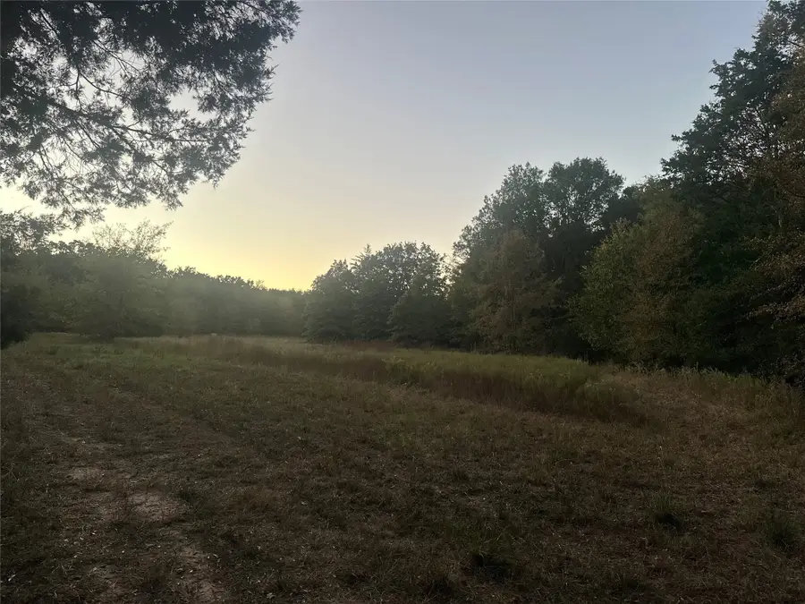 TBD County Road 1180, Cooper, TX 75432 - Image #2