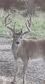 6935 U.s. Highway 175 W, Jacksonville, TX 75766 - Image #1