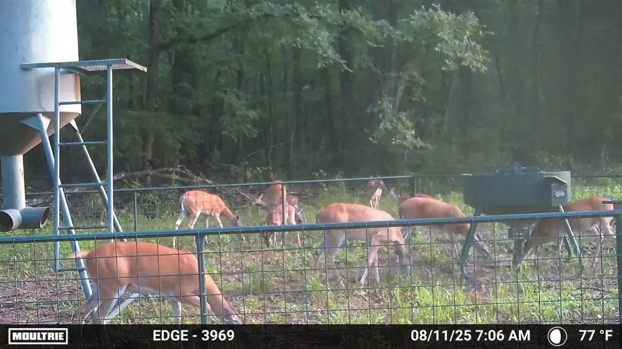 6935 U.s. Highway 175 W, Jacksonville, TX 75766 - Image #2