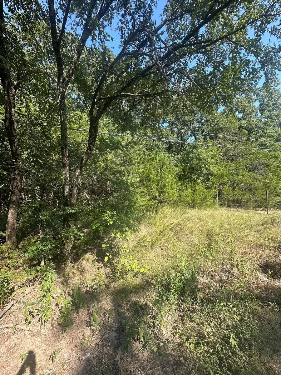 Lots 106-109 Pr 3837, Quinlan, TX 75474 - #2