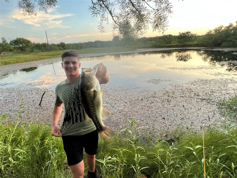 137 County Road 137, Cisco, TX 76437 - Image #2