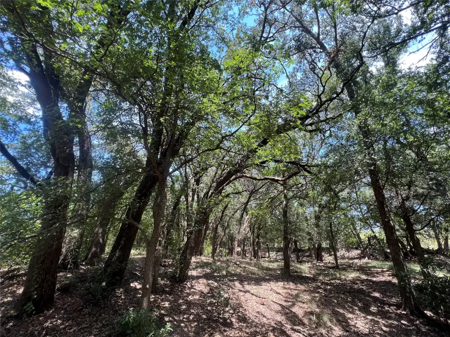 137 County Road 137, Cisco, TX 76437 - Image #3