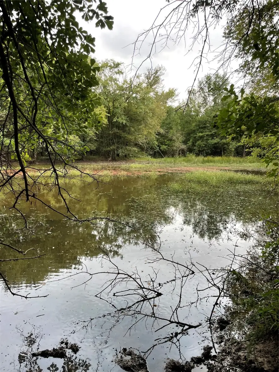 0044 Cr3900, Wolfe City, TX 75496 - Image #3