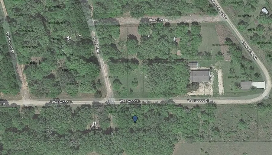 156 Westwood Drive, Trinidad, TX 75163 - Image #3