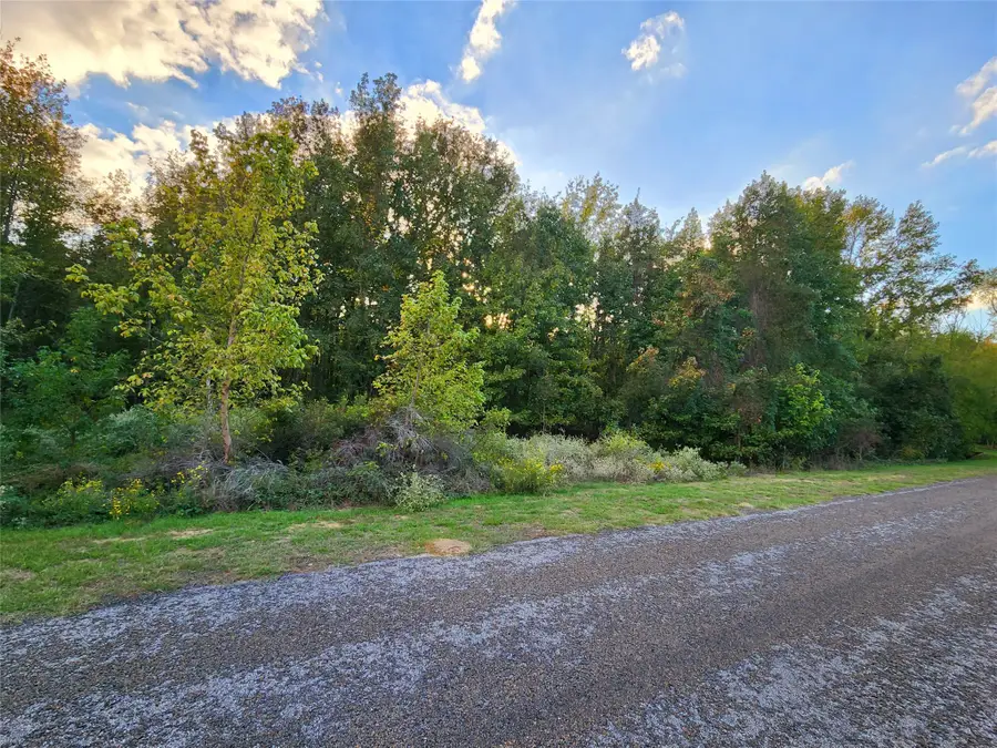 Lot 283 Eland Trail, Larue, TX 75770 - Image #2