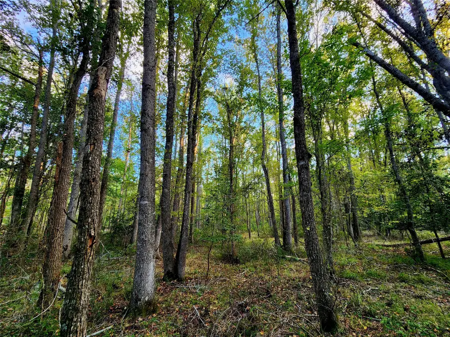 Lot 283 Eland Trail, Larue, TX 75770 - Image #3