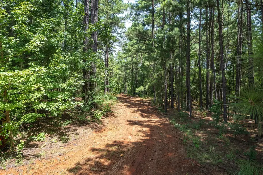 Tract 3 County Road 4102, Jacksonville, TX 75766 - Image #3